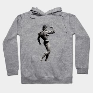 Arnold back and biceps Hoodie